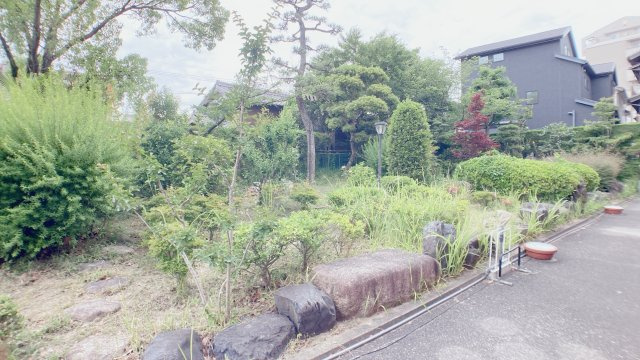 プライベート・フォレストのその他