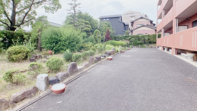 プライベート・フォレストのその他