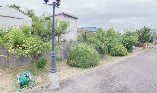 プライベート・フォレストのその他