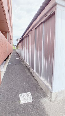 プライベート・フォレストのその他