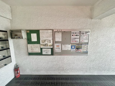 【その他】 | ステラマリス伸和