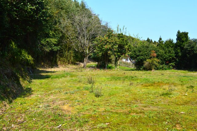 園町　売土地の外観|敷地面積436.36㎡（131.99坪）、進入路含む