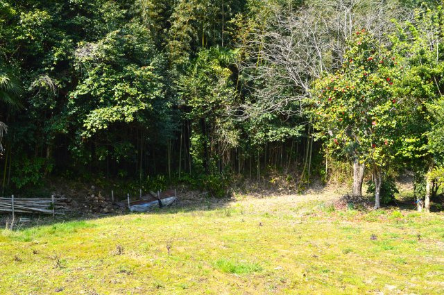 園町　売土地の外観|敷地面積436.36㎡（131.99坪）、進入路含む