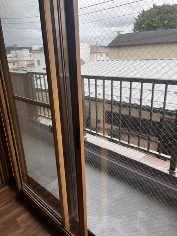パレス・シンフォニー