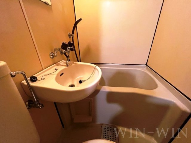 ユトリロ宮下町の洗面所