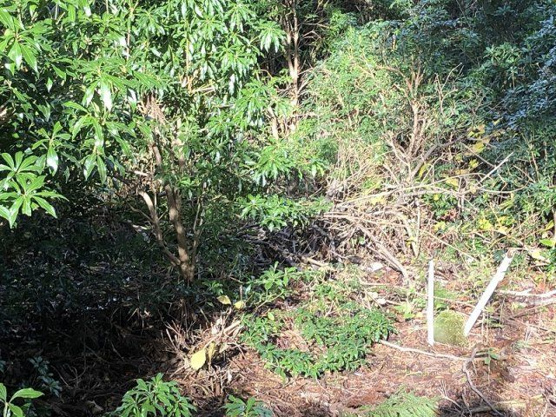 【外観】 | 東急天城高原別荘地　売地
