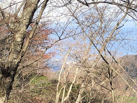 【展望】 | 東急天城高原別荘地　売地