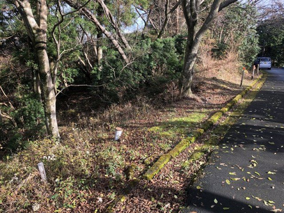 【外観】 | 東急天城高原別荘地　売地