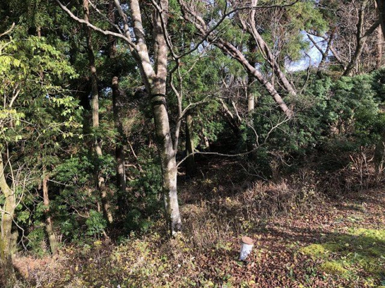 【外観】 | 東急天城高原別荘地　売地