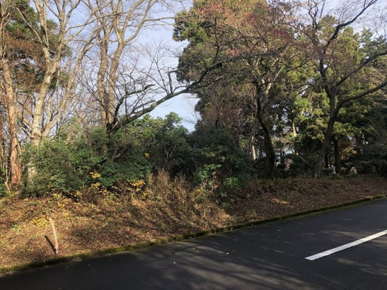 【外観】 | 東急天城高原別荘地　売地