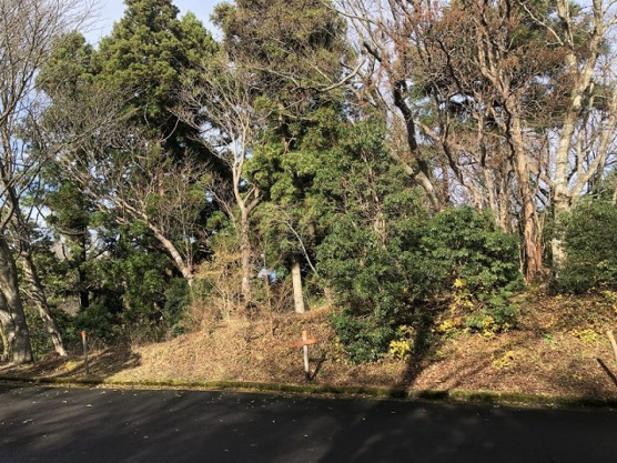 【外観】 | 東急天城高原別荘地　売地