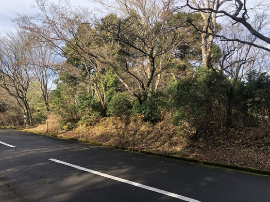 【外観】 | 東急天城高原別荘地　売地