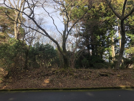 【外観】 | 東急天城高原別荘地　売地