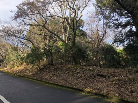 【外観】 | 東急天城高原別荘地　売地
