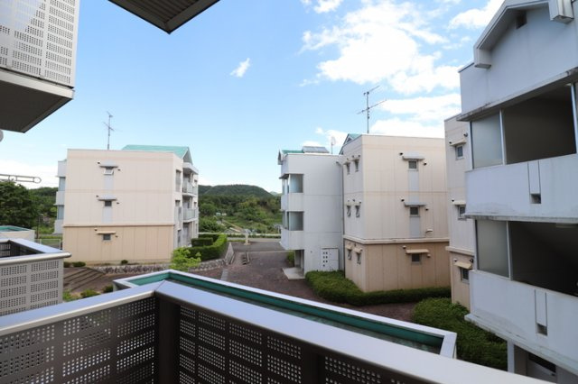 Ｄ－ｒｏｏｍ椿の展望|眺望