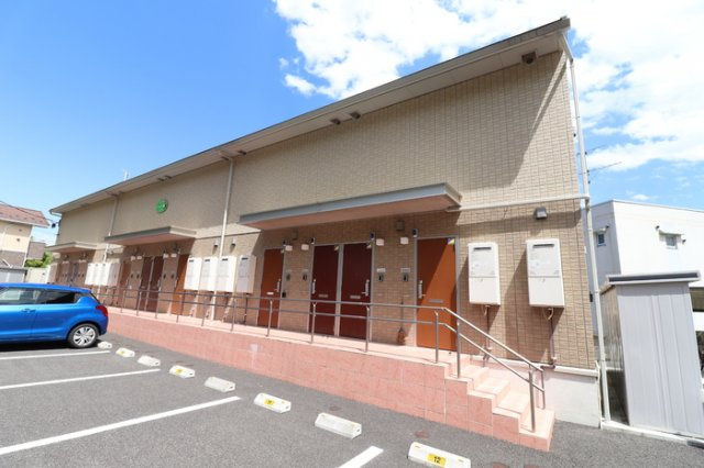 Ｄ－ｒｏｏｍ椿