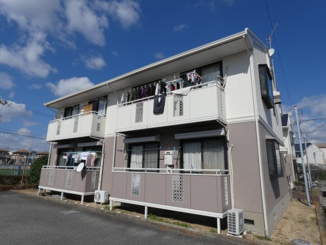 ネオアネックス