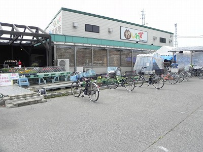 アルトパラーシオの周辺
