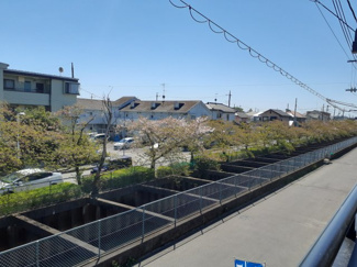 【展望】 | バルコニーからは桜並木が望めます