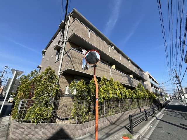 エーデルワイス