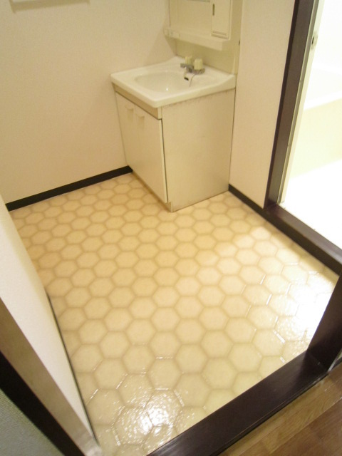 レジデンス向陽の洗面所