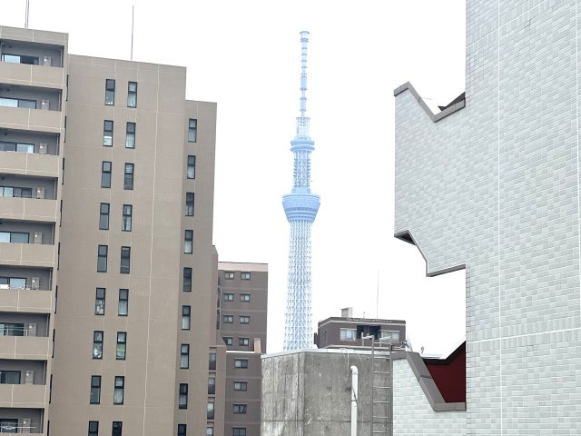 アイルイムーブル浅草の展望|寝室からスカイツリーがみえます