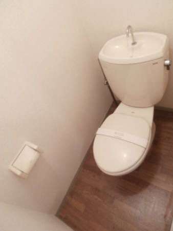 パールハイツ海老原28のトイレ