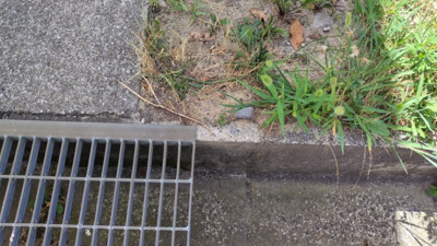 【外観】 | 丹波篠山市　今田町今田　建築条件無土地