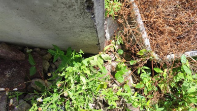 【周辺】 | 丹波篠山市　今田町今田　建築条件無土地