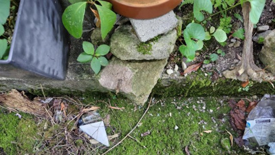 【周辺】 | 丹波篠山市　今田町今田　建築条件無土地