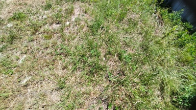 【外観】 | 丹波篠山市　今田町今田　建築条件無土地