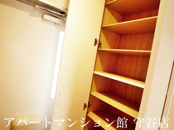 レオネクストヴェルヴェデーレⅡの収納