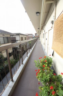 【その他】 | マンションハヤシビル | マンションハヤシビル　廊下

