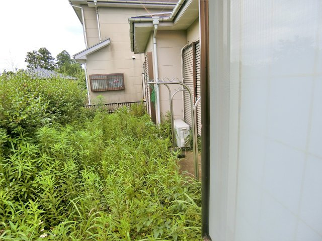平川邸の庭