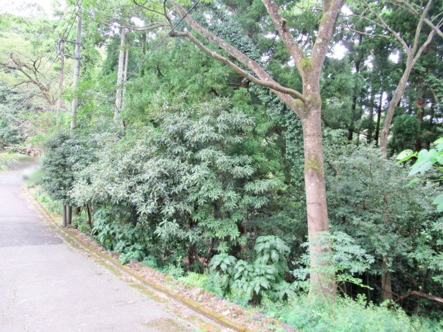 エンゼルフォレスト伊豆赤沢②温泉権利付きの前面道路含む現地写真