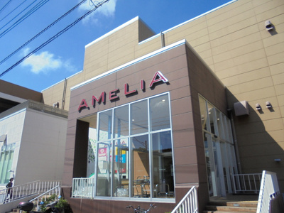 アメリア町田根岸ショッピンクまで700m