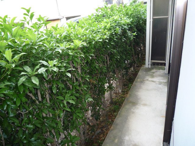 シティハイム物集女のバルコニー