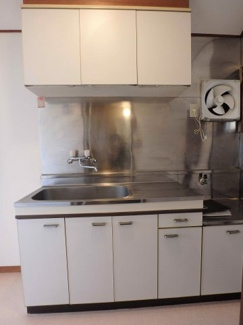  | エクセルウスイ