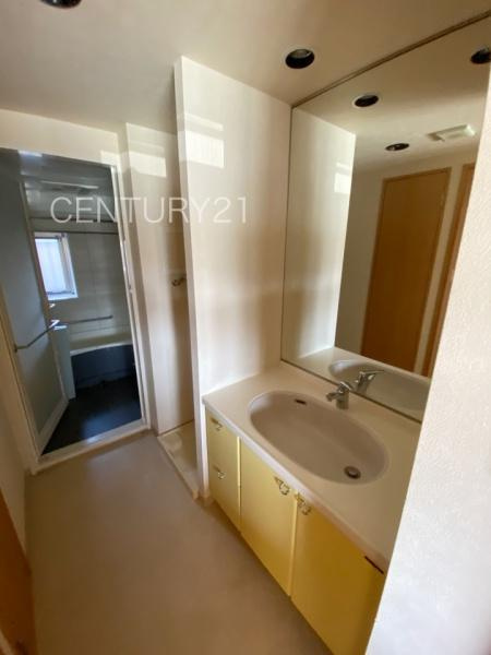 フォルテコート伊勢崎の独立洗面台