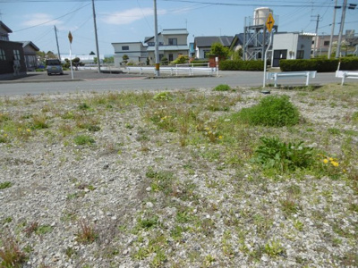 【外観】 | 平川市猿賀南野土地A