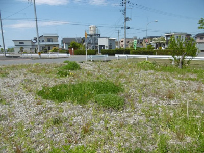【外観】 | 平川市猿賀南野土地A