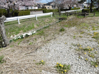 【外観】 | 平川市猿賀南野土地A