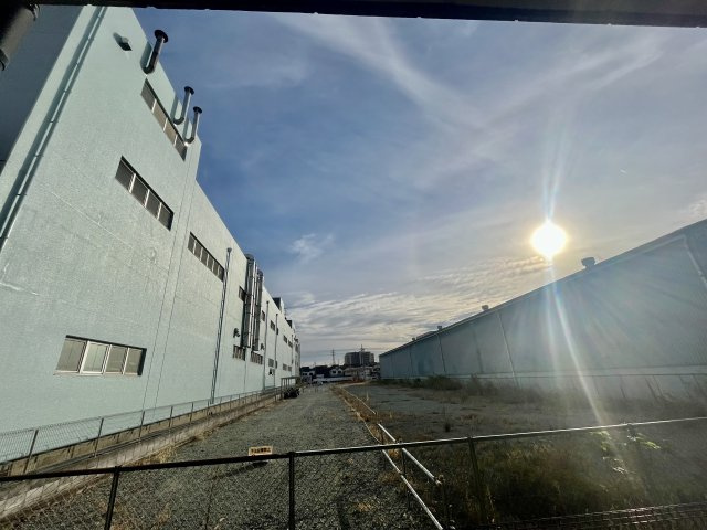 【展望】 | アンプルールフェールREALIF