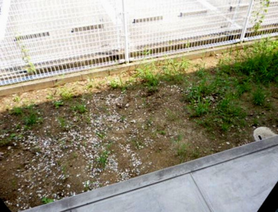 【庭】 | サニーグリーン北喜C