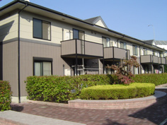 セラフィの画像