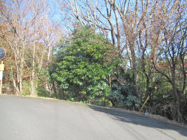 エンゼルフォレスト伊豆熱川①の外観