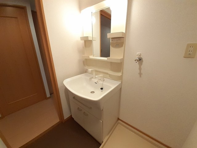 パイン・ヒルズ参番館の洗面所