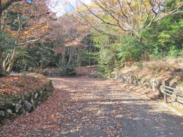 エンゼルフォレスト赤沢望洋台①の前面道路含む現地写真