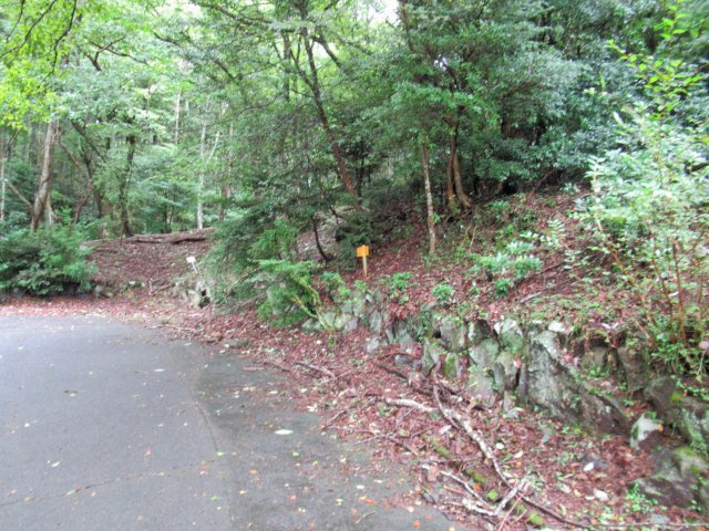 エンゼルフォレスト赤沢望洋台①の前面道路含む現地写真