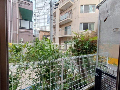 【展望】 | チャーリーブラウン